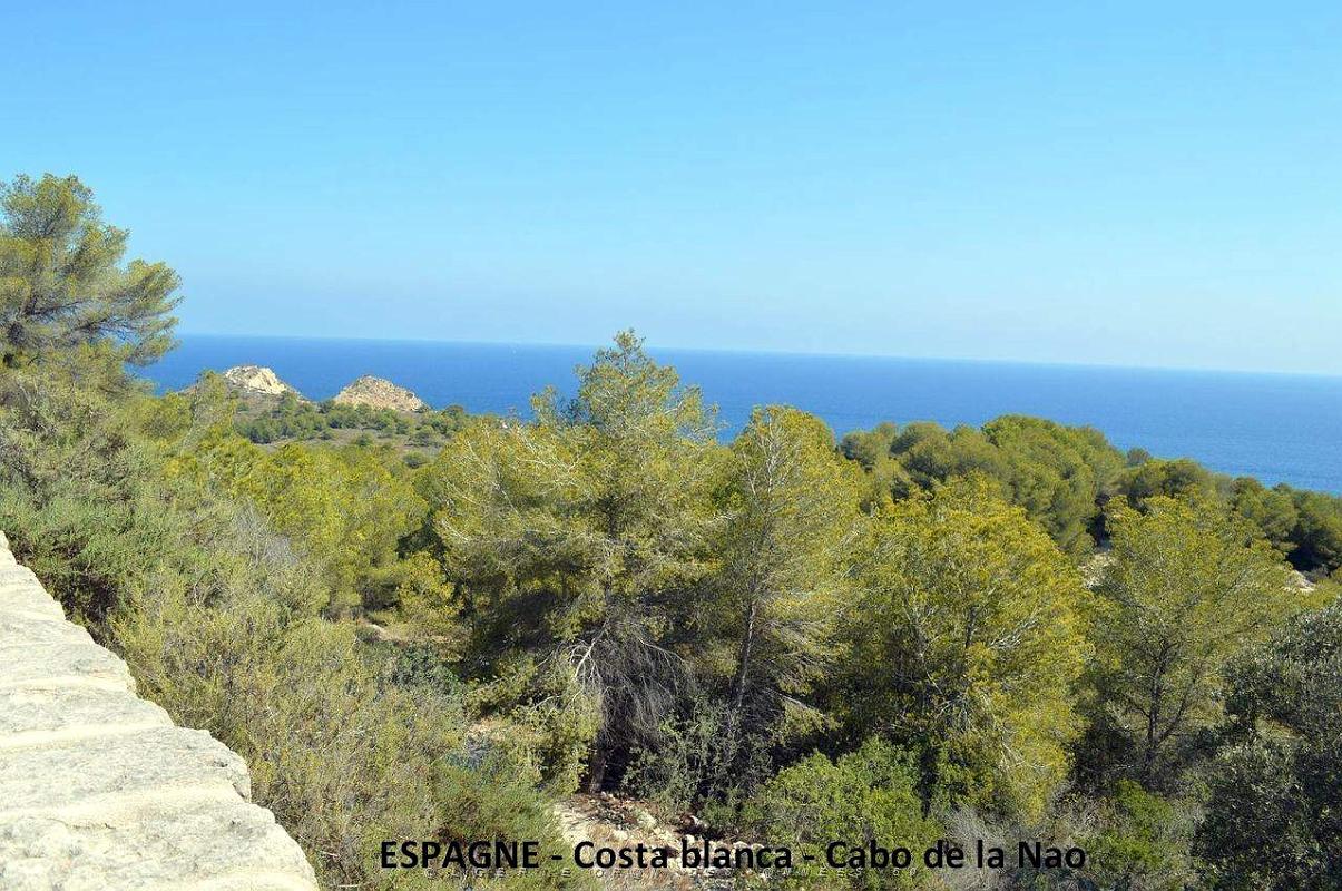066- Cabo de la Nao.JPG